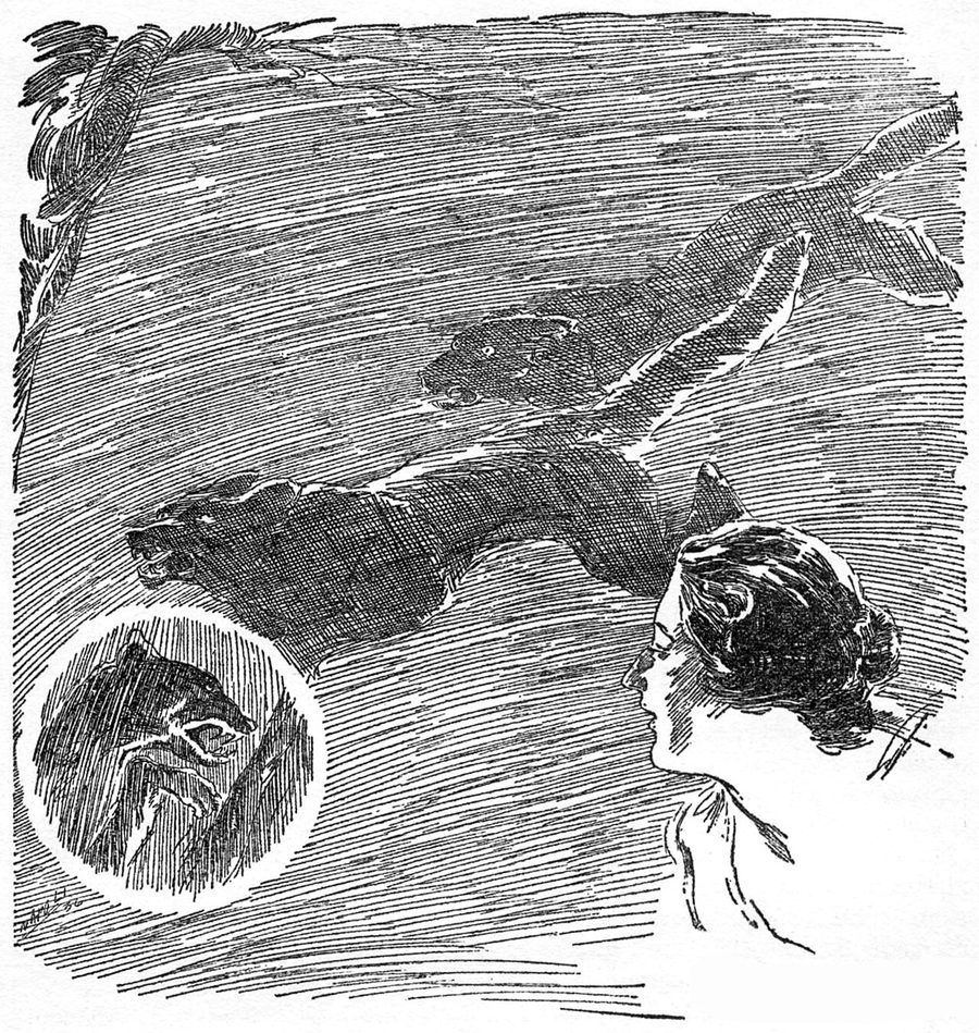 Page 211 - Weird Tales Volume 27 Number 02 (1936-02).jpg