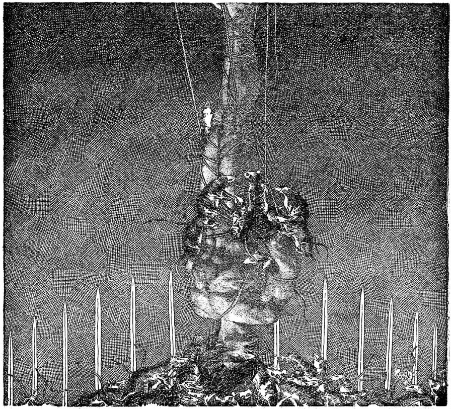 Weird Tales, Jul 1937 p 71.png